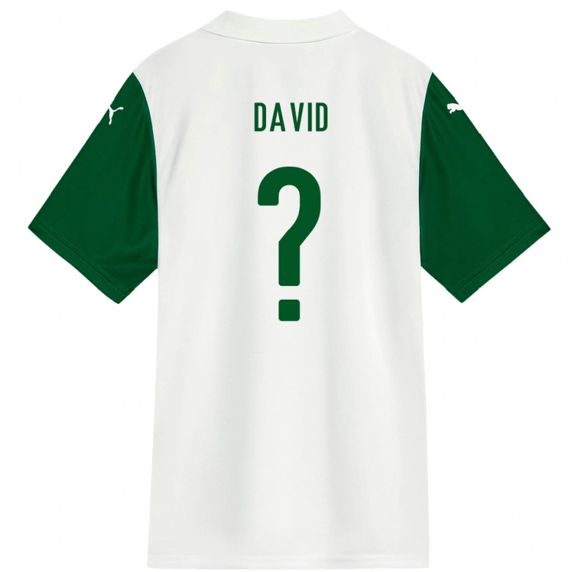 Danxen Herren David #0 Grün Weiß Auswärtstrikot Trikot 2025/26 T-Shirt Schweiz