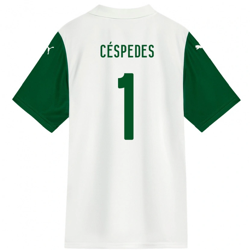 Danxen Herren Antonio Céspedes #1 Grün Weiß Auswärtstrikot Trikot 2025/26 T-Shirt Schweiz