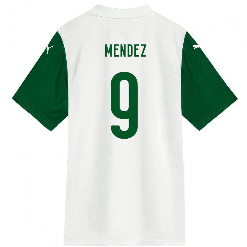 Danxen Herren Cesar Mendez #9 Grün Weiß Auswärtstrikot Trikot 2025/26 T-Shirt Schweiz