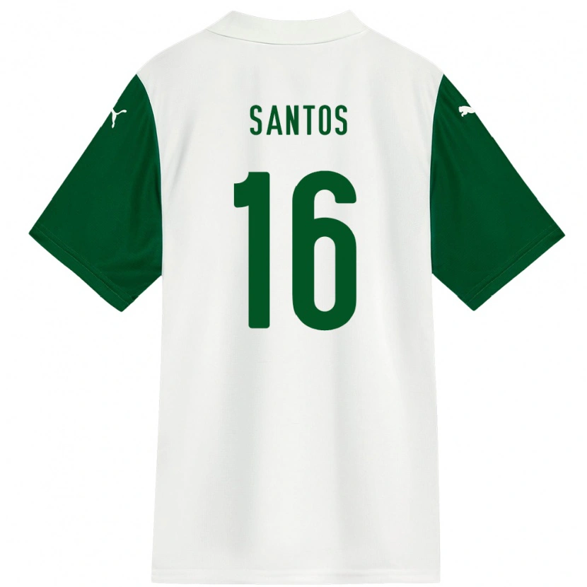 Danxen Herren Gaby Santos #16 Grün Weiß Auswärtstrikot Trikot 2025/26 T-Shirt Schweiz