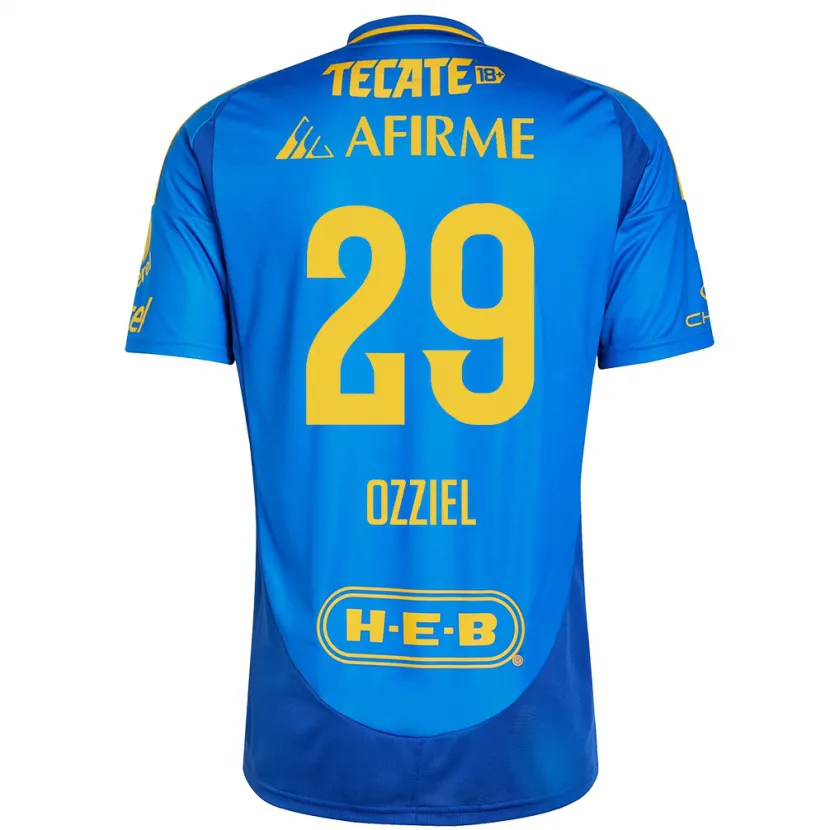 Danxen Kinder Ozziel Herrera #29 Blau Gelb Auswärtstrikot Trikot 2024/25 T-Shirt Schweiz