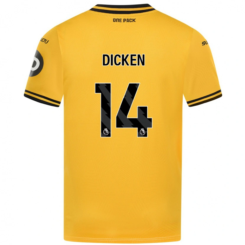 Danxen Kinder Amy Dicken #14 Gelb Heimtrikot Trikot 2024/25 T-Shirt Schweiz