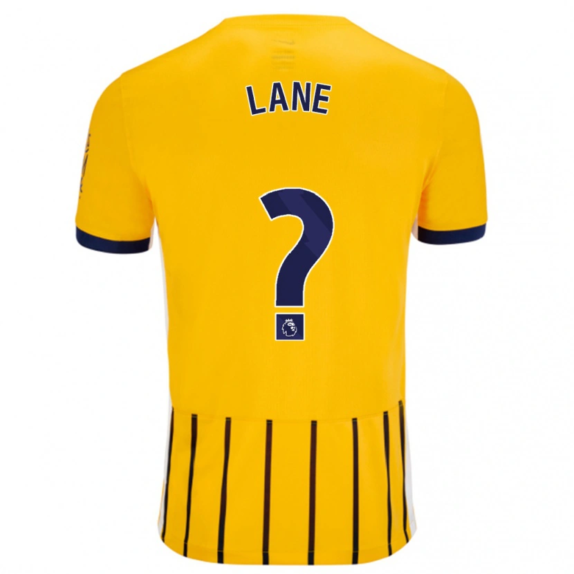 Danxen Kinder Darius Lane #0 Gold Blau Nadelstreifen Auswärtstrikot Trikot 2024/25 T-Shirt Schweiz