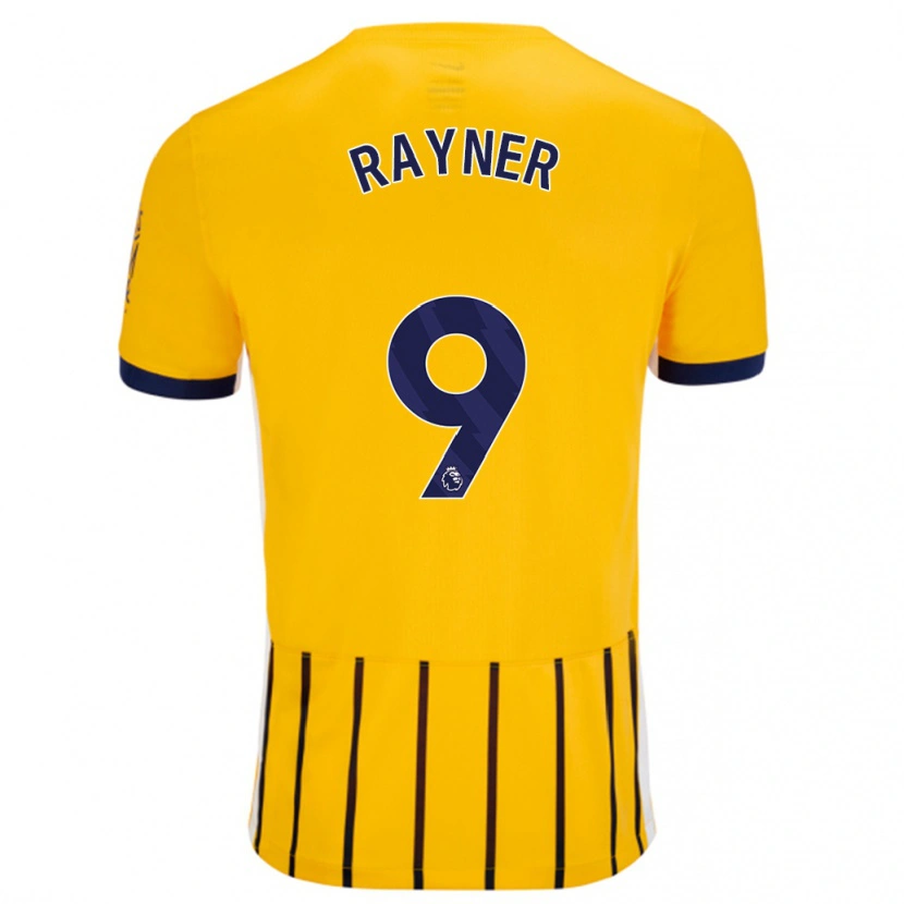 Danxen Kinder Rebecca Rayner #9 Gold Blau Nadelstreifen Auswärtstrikot Trikot 2024/25 T-Shirt Schweiz