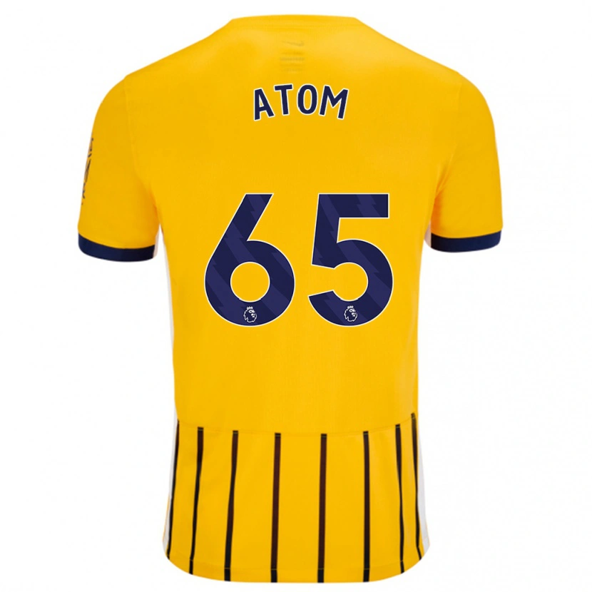 Danxen Herren Noel Atom #65 Gold Blau Nadelstreifen Auswärtstrikot Trikot 2024/25 T-Shirt Schweiz