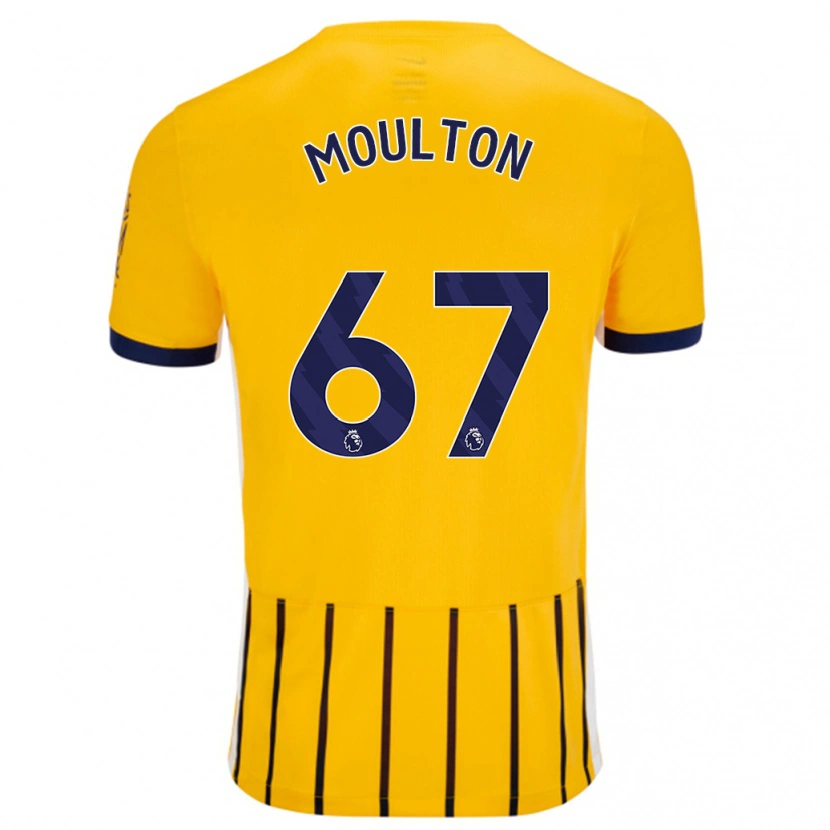 Danxen Herren Remiero Moulton #67 Gold Blau Nadelstreifen Auswärtstrikot Trikot 2024/25 T-Shirt Schweiz