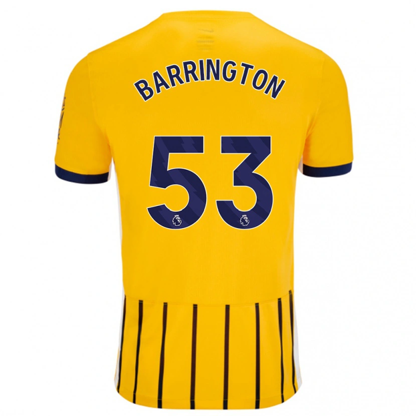 Danxen Herren Luca Barrington #53 Gold Blau Nadelstreifen Auswärtstrikot Trikot 2024/25 T-Shirt Schweiz