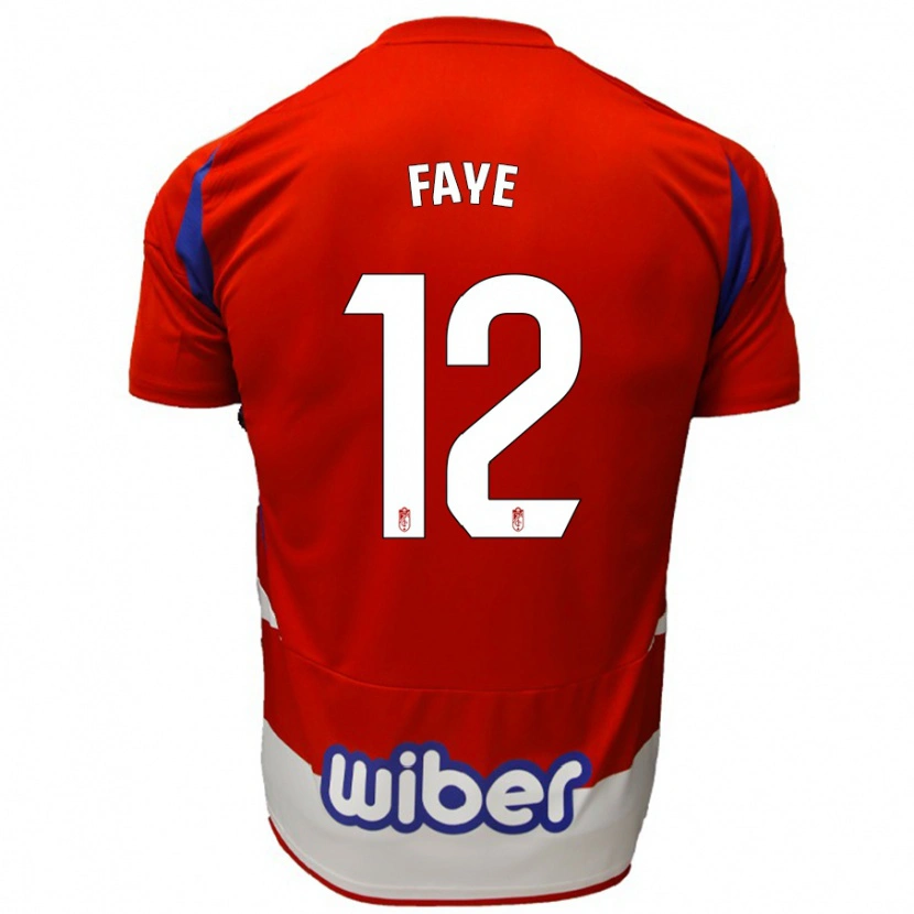 Danxen Kinder Serigne Faye #12 Rot Weiß Blau Heimtrikot Trikot 2024/25 T-Shirt Schweiz