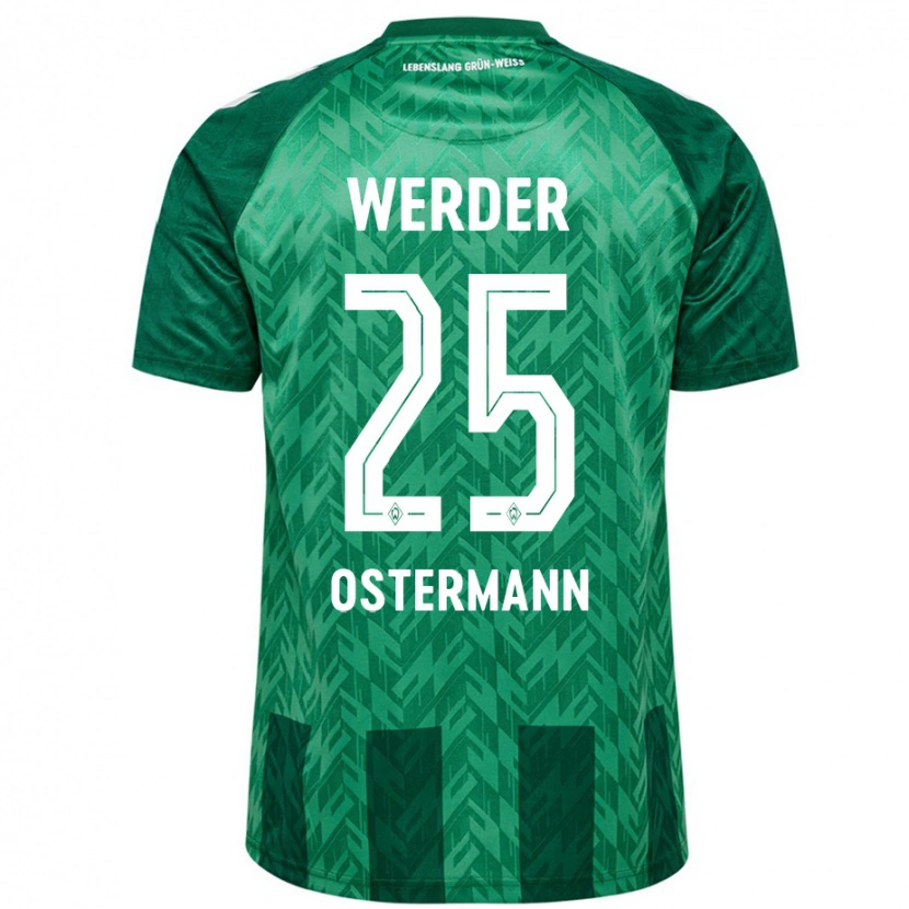 Danxen Kinder Ben Ostermann #25 Grün Heimtrikot Trikot 2024/25 T-Shirt Schweiz