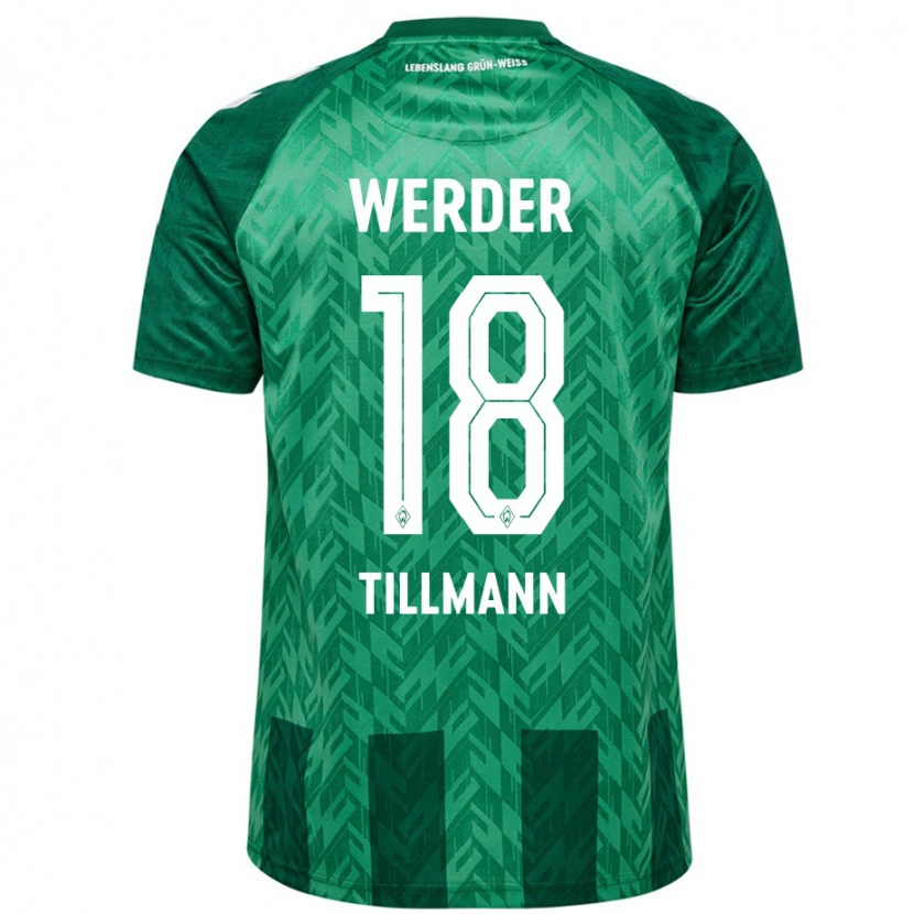 Danxen Herren Felix Tillmann #18 Grün Heimtrikot Trikot 2024/25 T-Shirt Schweiz