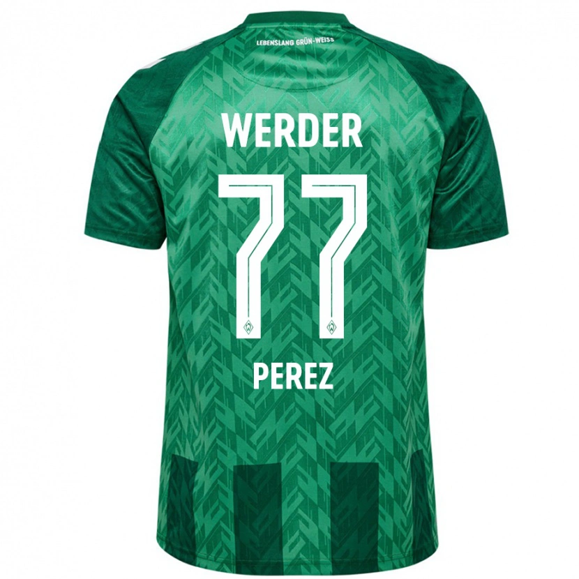 Danxen Herren Catalina Pérez #77 Grün Heimtrikot Trikot 2024/25 T-Shirt Schweiz